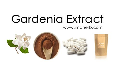 gardenia fruit side effects